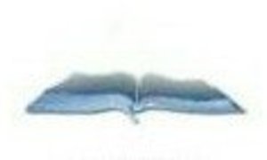 Verhale tot die aanloop van die Reformasie