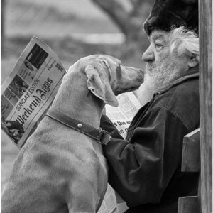 Riaan Jacobs is ook met goud beloon  vir sy â€œOu Man en Hondâ€.