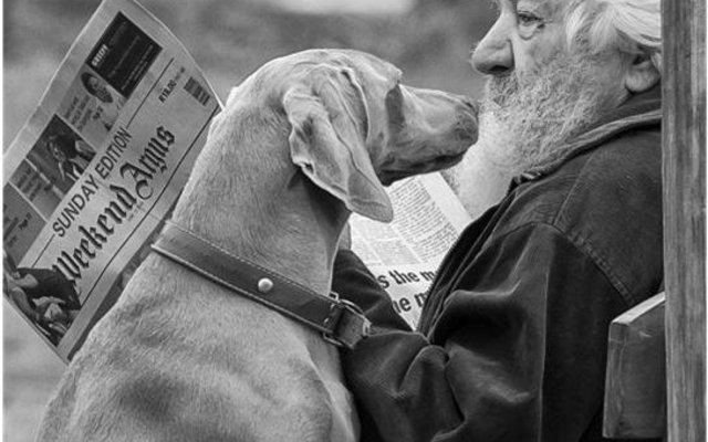 Riaan Jacobs is ook met goud beloon  vir sy â€œOu Man en Hondâ€.