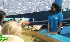 Diamond for young biologist