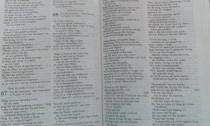 GeseÃ«n deur die ander