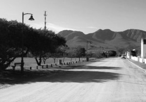 Amazingly awesome things about the Stanford History