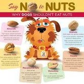 No no nuts!