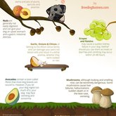 Dangerous fruits and veggies