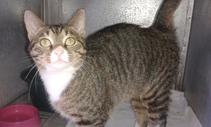 Blueberry Found a home