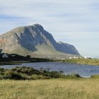 Our Beautiful Betty's