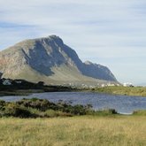 Our Beautiful Betty's