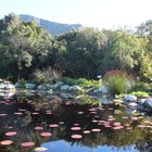 Our Beautiful Betty's Bay