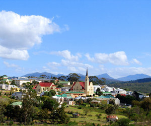 Top Things to Do on Your Getaway in Napier