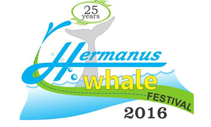 Hermanus Whale Festival 2016