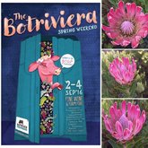 The Botriviera Spring 'Carny