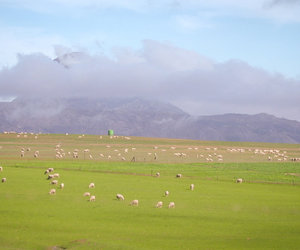 Put a Spring in your step in Caledon