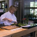 Freshly prepared meals