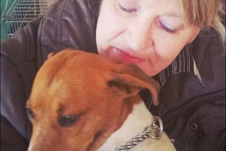 Een van die â€œhartseerâ€ eienaars wat besig is om haar lieflinghondjie te troos nadat hy gesteriliseer is.