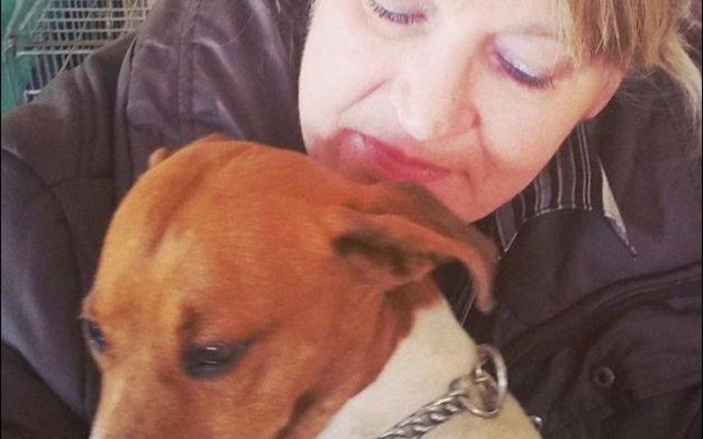 Een van die â€œhartseerâ€ eienaars wat besig is om haar lieflinghondjie te troos nadat hy gesteriliseer is.