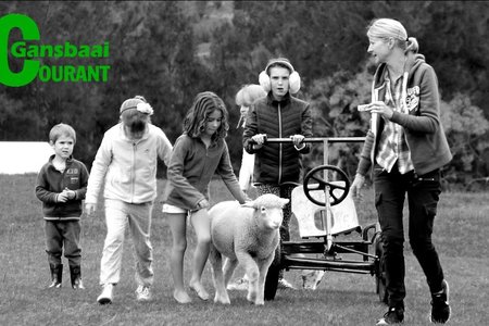 Voertuie met vreemde registrasienommers wat in bondels by huise geparkeer is, die geur van braaivleis oraloor, honde aan leisels wat hul base op uitstappies neem, kinders wat oral rondspeel â€“ sorgvry!   Dit was langnaweek in die Overstrand.  Die verkiesings- en Vrouedag het vir diÃ© welkome breek gesorg! Die weer was blou en sonnig, â€˜n walvis het kom inloer by die hawe en ons dorp se gaste net weer laat besef â€“ van Stanford tot by Pearly Beach â€“ ons bly in hemelland!