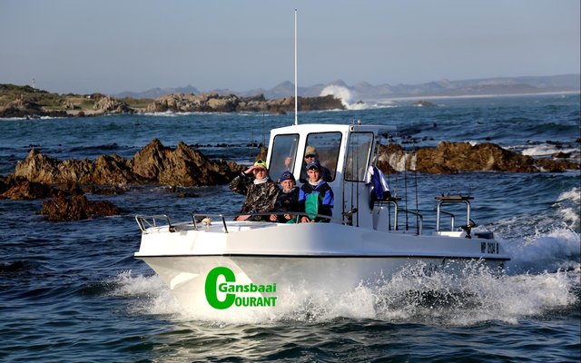 Mooiweer en bedrywig loop hand aan hand by Kleinbaai hawe.  Verlede week tydens Overberg Boothengelklub se Kleinbaai Interprovinsiale Hengeltoernooi was die bedrywigheid net nog meer so tussen die haai- en ecobote deur.  Menige besoekers het spesiaal  die hawe soggens en smiddae  besoek om die hengelbote te sien uit- en inkom in die hawe.  Op die foto vaar die WP Junior-span die baai binne na â€˜n lang dag op die water. Lees meer van die gesogte hengelkompetisie by die Sportafdeling. Foto: Marinda van der Walt