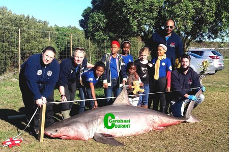 Children from the Trustâ€™s Enviro Kids Club during an education session, with (from ltr) Meredith Thornton, Alison Towner, Karim Mostafa (standing) and Ettiene Roets (sitting).