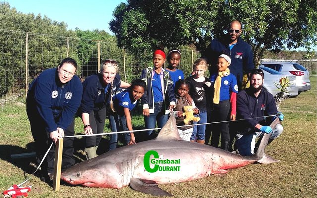 Children from the Trustâ€™s Enviro Kids Club during an education session, with (from ltr) Meredith Thornton, Alison Towner, Karim Mostafa (standing) and Ettiene Roets (sitting).