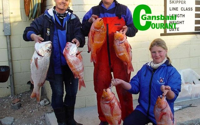 Dames: Die WP-damespan  het op die eerste dag tweede op die telbord gelÃª en terug gesak na die vyfde plek.  Van links Amanda van Staden (kaptein), Adele Palmer en Carla Rautman.
