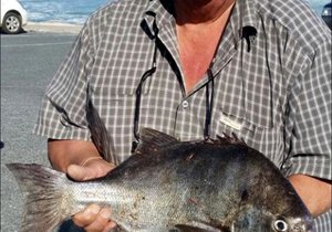 Galjoen-bielie laat Freddie sweet