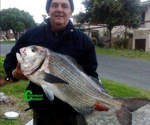 Kobus Prawn spog met 'n bielie