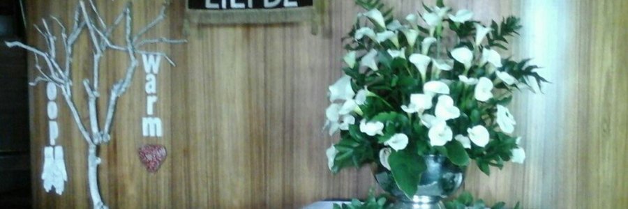 IMG_20160906_224902_887