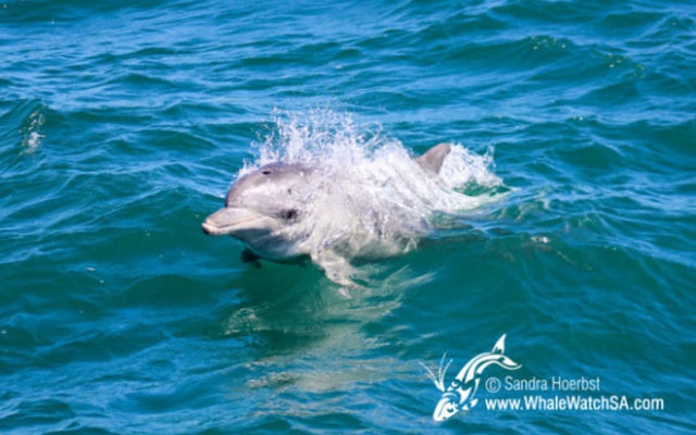 20160914_DC_Trip2_SHoerbst_IMG_063_580x388