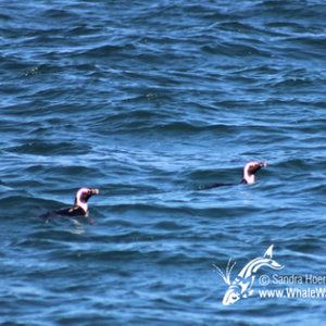 20160914_DC_Trip2_SHoerbst_IMG_092_580x388