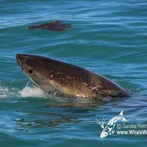 20160914_DC_Trip2_SHoerbst_IMG_099_580x388