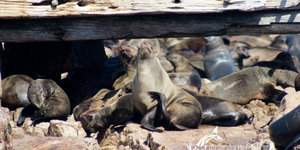 20160914_DC_Trip2_SHoerbst_IMG_121_580x388