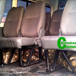 Perlemoendiewe het hul buit onder die taxi se sitplekke ingedruk.