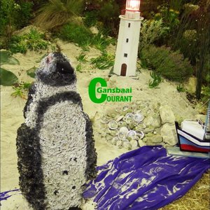 Gansbaai_Verruklike_Fynbosskou_verras_besoekers_2