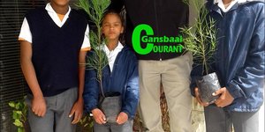 Leerders van die Hulpbronklas van Gansbaai PrimÃªr neem hul bome vir boomplantweek in ontvangs. Voor vlnr Gereldo Gouws, Louise Fortuin en Rubin Jacobs, met Johan Greyling van Overberg Agri, Stanford agter hulle.