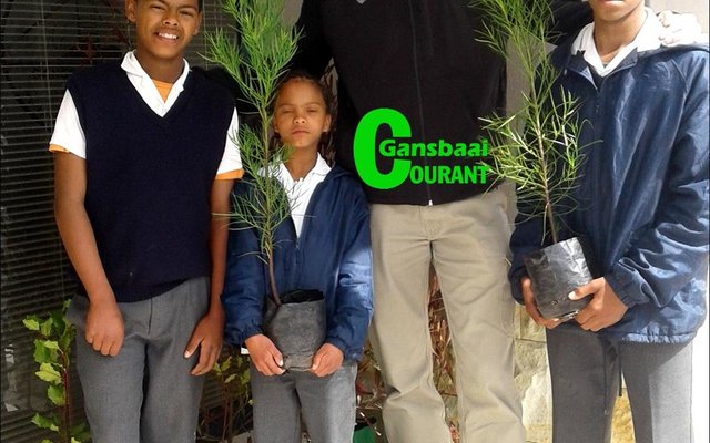 Leerders van die Hulpbronklas van Gansbaai PrimÃªr neem hul bome vir boomplantweek in ontvangs. Voor vlnr Gereldo Gouws, Louise Fortuin en Rubin Jacobs, met Johan Greyling van Overberg Agri, Stanford agter hulle.