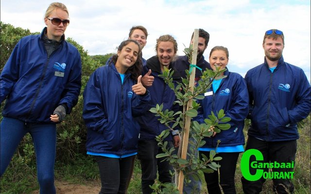 Die Internasionale Vrywilligersspan van Marine Dynamics wat ingespring het om bome in Franskraal te plant.