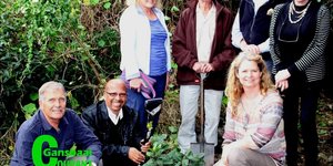 The planting of ten Milkwood trees by municipal councillors in Piet-se-bos as part of Arbour Week celebrations. From left Cllr David Botha, Mayor Rudolph Smith, Fiona Matthes, Frank Woodvine, Harvey Tyson and Cllr Kari Brice. Front (right) is the municipalityâ€™s horticulturist, Lauren Rainbird.