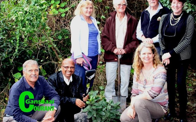 The planting of ten Milkwood trees by municipal councillors in Piet-se-bos as part of Arbour Week celebrations. From left Cllr David Botha, Mayor Rudolph Smith, Fiona Matthes, Frank Woodvine, Harvey Tyson and Cllr Kari Brice. Front (right) is the municipalityâ€™s horticulturist, Lauren Rainbird.