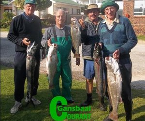 Voor- en nadele van 'n boot