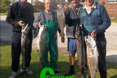 DÃ­t is wat boothengel vir jou moontlik maak. Hier is â€˜n voorbeeld van die verskillende spesies wat op een dag gevang is. Vlnr Albert Potgieter, Steve Serbon, Eddie Bester en  Jannie Roux.