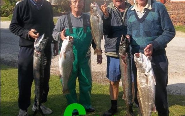 DÃ­t is wat boothengel vir jou moontlik maak. Hier is â€˜n voorbeeld van die verskillende spesies wat op een dag gevang is. Vlnr Albert Potgieter, Steve Serbon, Eddie Bester en  Jannie Roux.