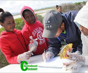 Plastiek - nÃ³g 'n kusmoordenaar
