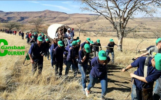 Die Wes-Kaapse Voortrekkers het gou agtergekom dat afdraend met â€˜n ossewa veel moeiliker is as opdraend.  Die â€˜Groot Trekâ€™ vorm deel van die Voortrekkerbeweging se 85ste bestaansjaar.