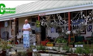 Kunstenaars stal uit