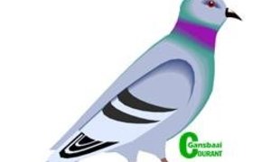 Duiwenuus (29 Sep 2016)