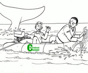 Hoe hanteer jy 'n haai