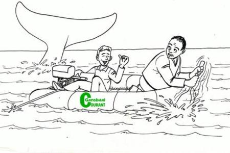 â€˜n Ontmoeting met â€˜n walvis is natuurlik â€˜n ander storieâ€¦.!!  