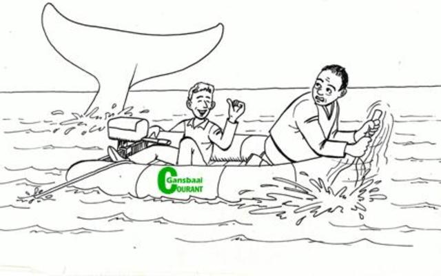 â€˜n Ontmoeting met â€˜n walvis is natuurlik â€˜n ander storieâ€¦.!!  