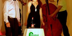  â€œThe Lady and the Trampâ€ opgevoer deur gesoute Melodrama-lede.  Voor Koos Holtzhausen en Roxanne Scott Moore met Verschelle Adams en Nazain (Anwah) Anta op instrumente.