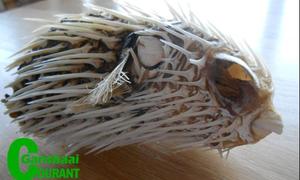 Vreemde seedier by Blousloep